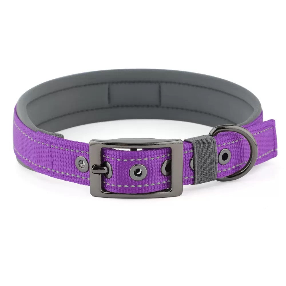 039 neoprene dog collar