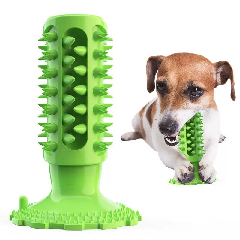 064 Suction Cup Squeaky Dog Molar Stick