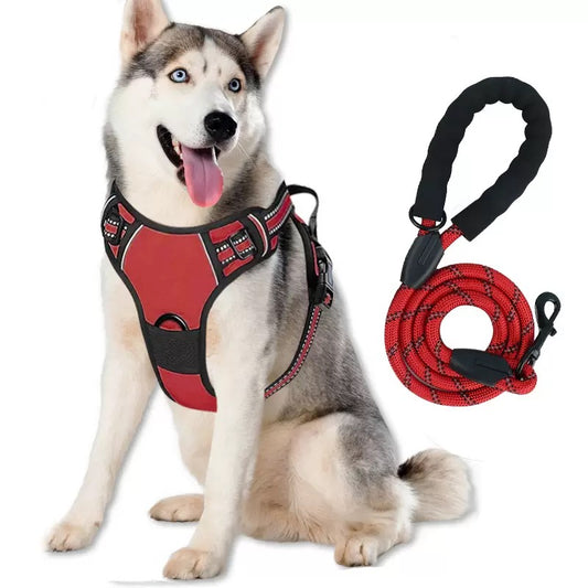 Your Ultimate Outdoor Training Kit: Making Every Walk a Lesson