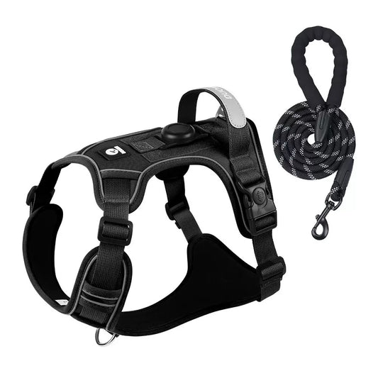 Hit the Trail Together: Your Essential Dog Hiking Kit