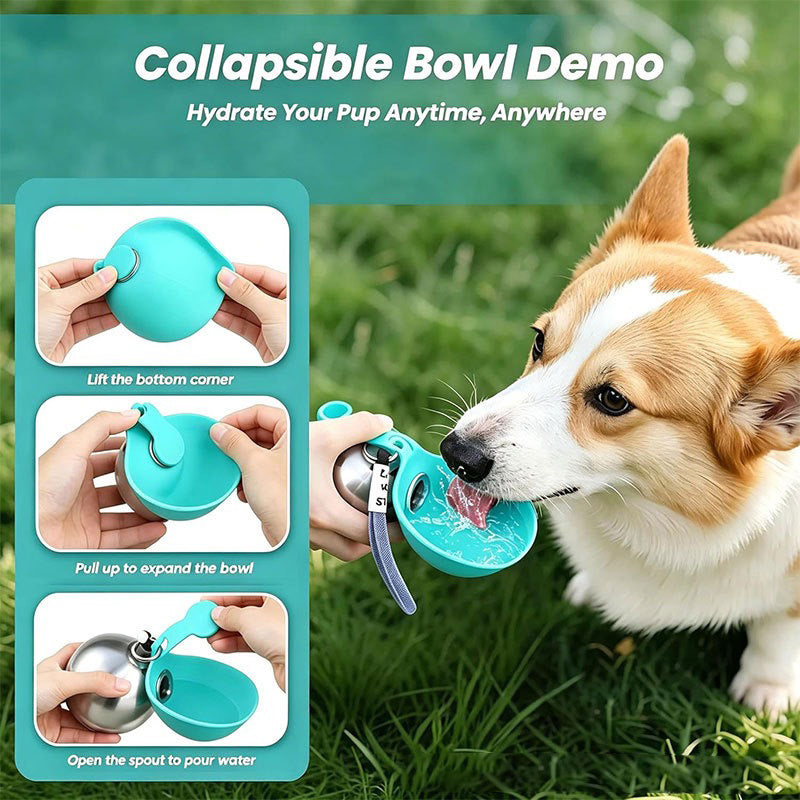 004 outdoor pet water bottle