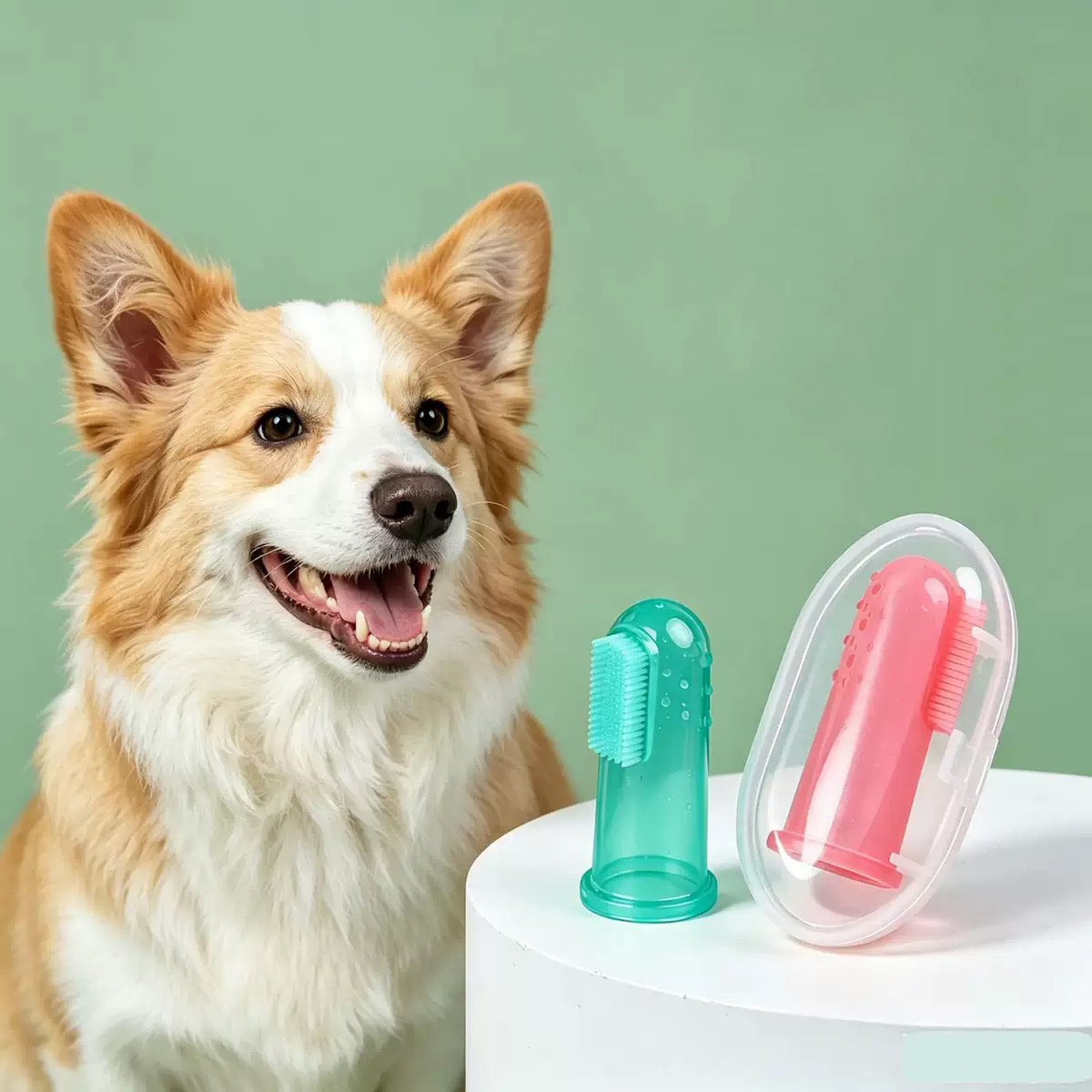 025 Liquid Silicone Pet Finger Toothbrush Set