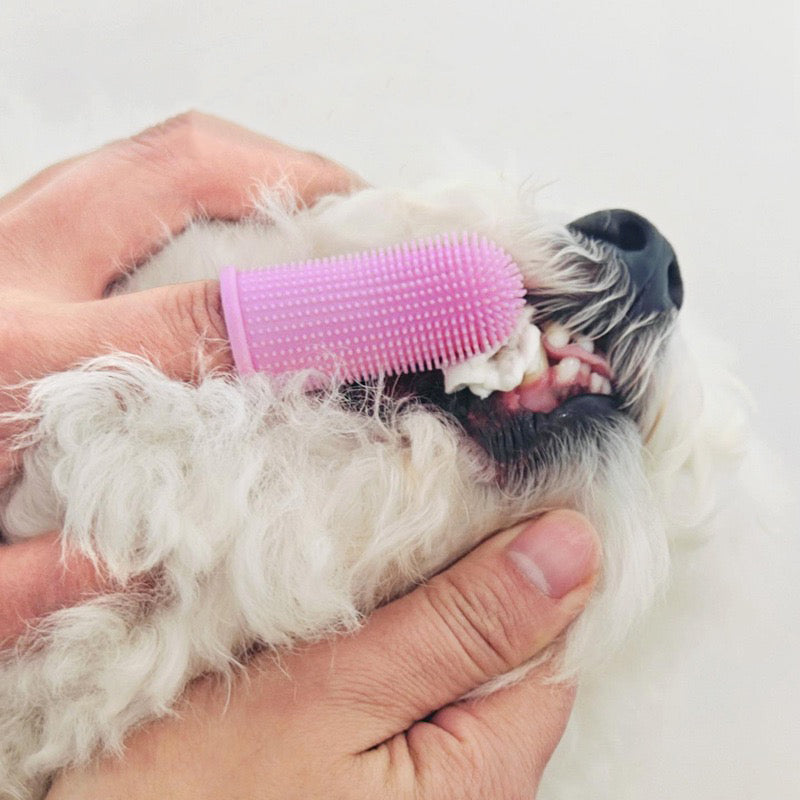 026 Cross-border Pet Finger Toothbrush