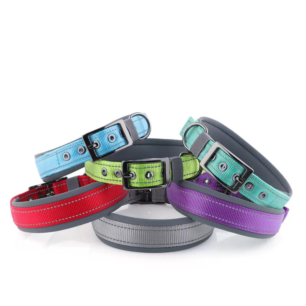 039 neoprene dog collar