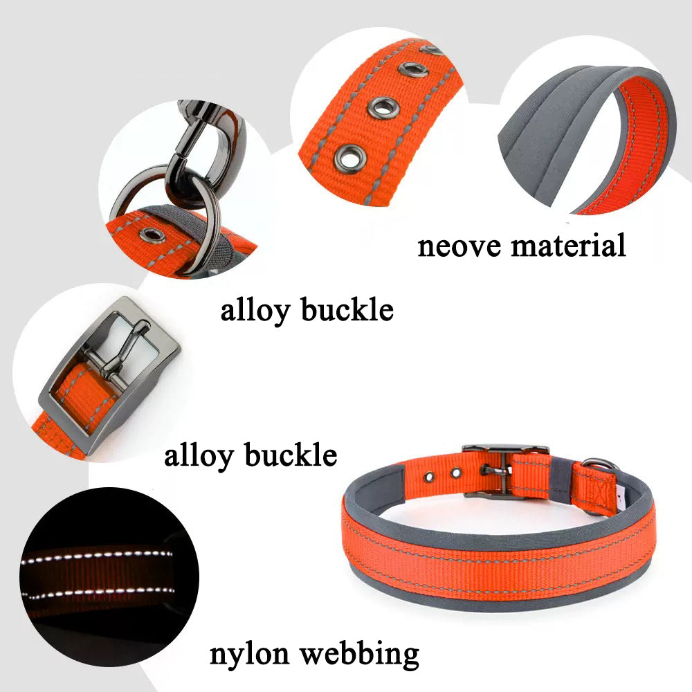 039 neoprene dog collar