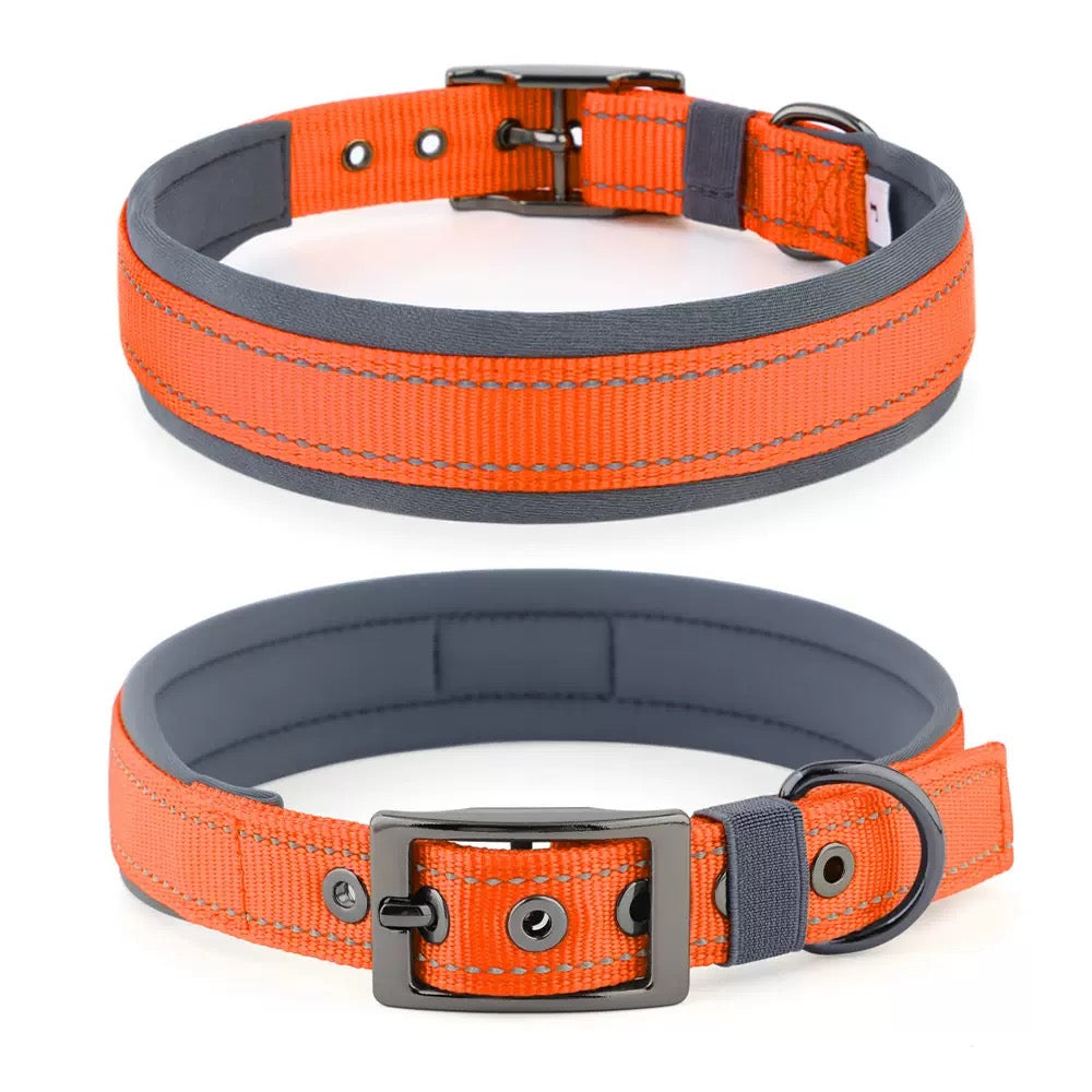 039 neoprene dog collar
