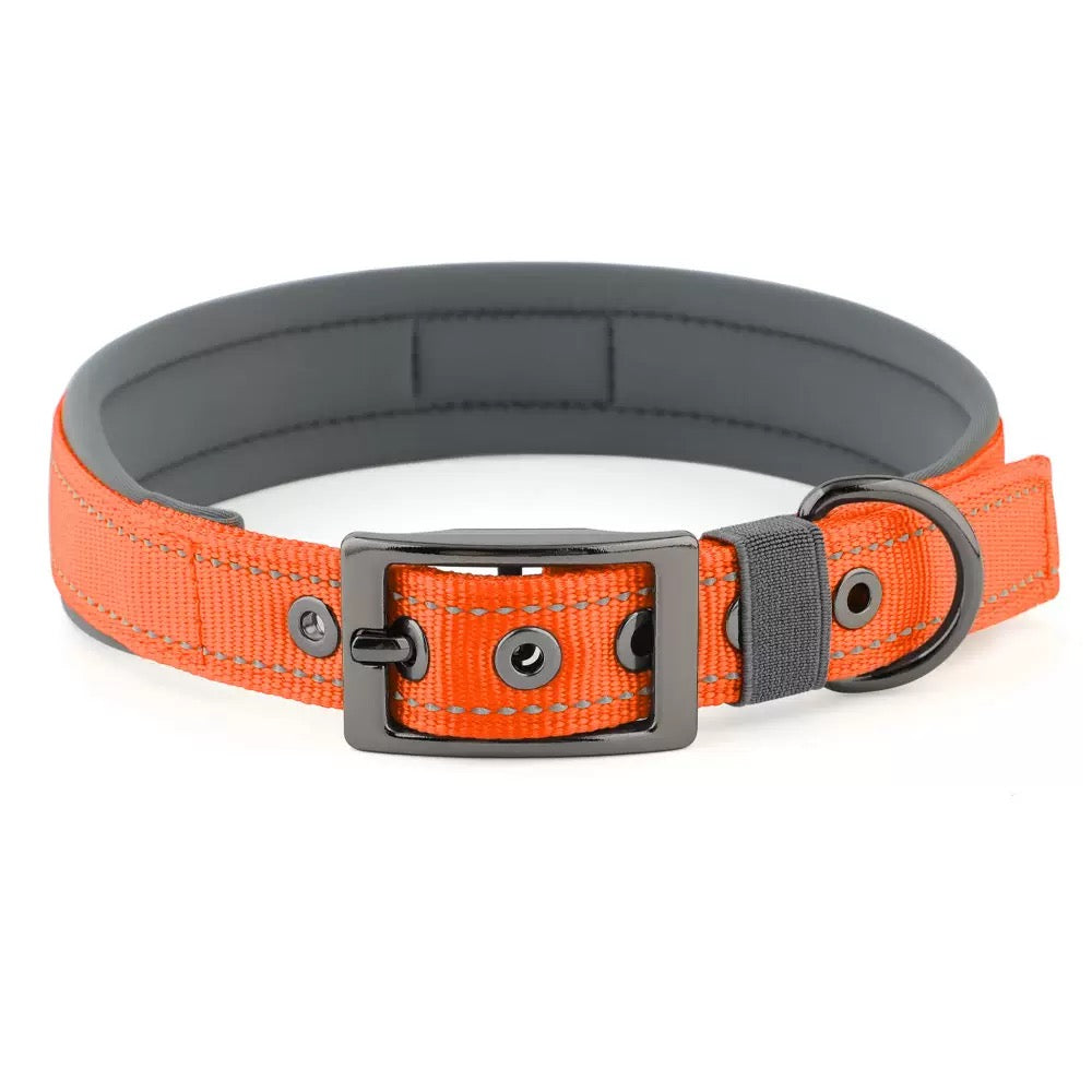039 neoprene dog collar