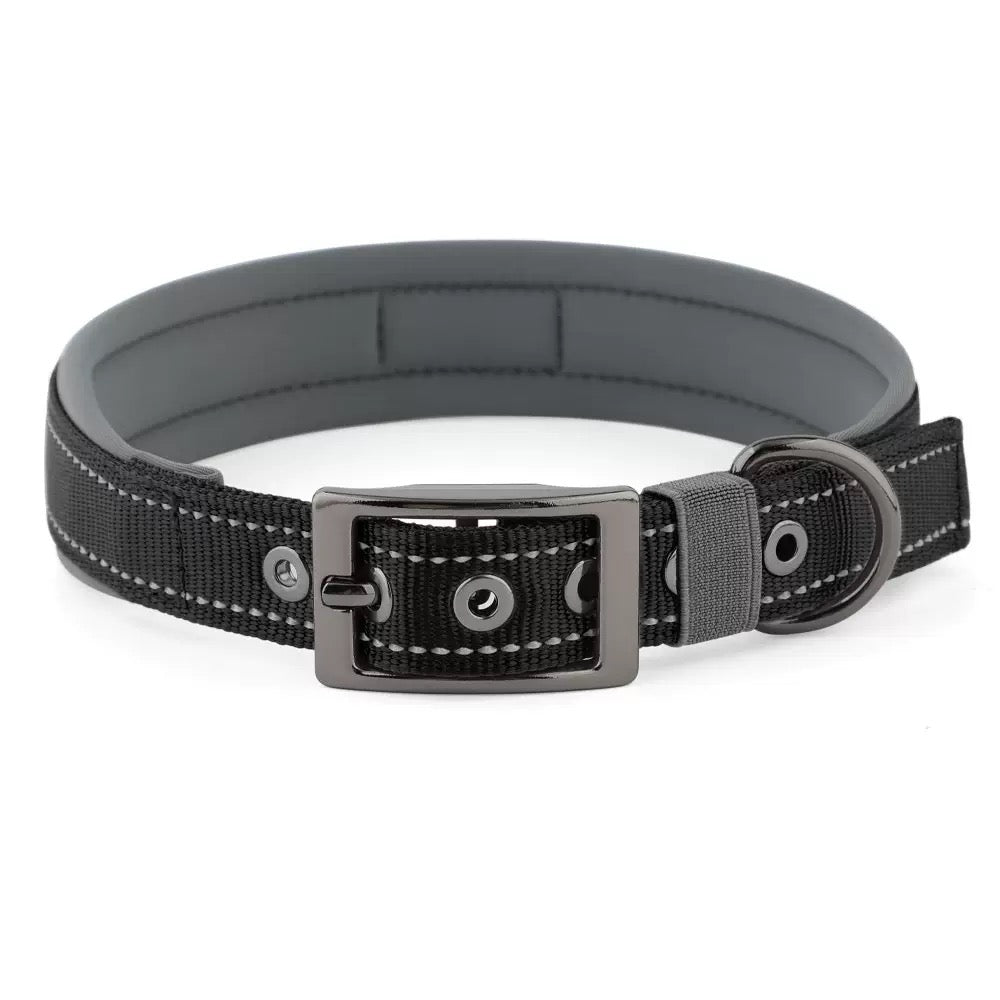 039 neoprene dog collar