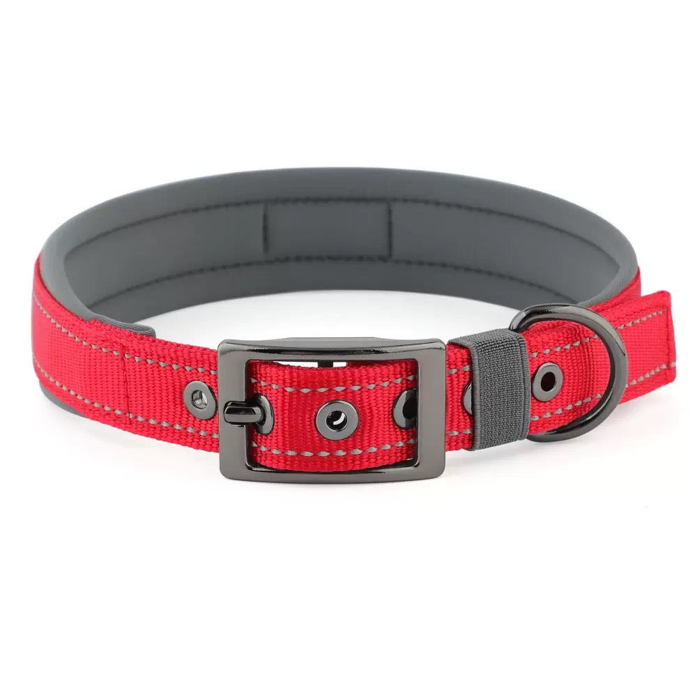 039 neoprene dog collar