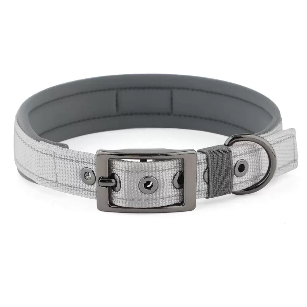 039 neoprene dog collar