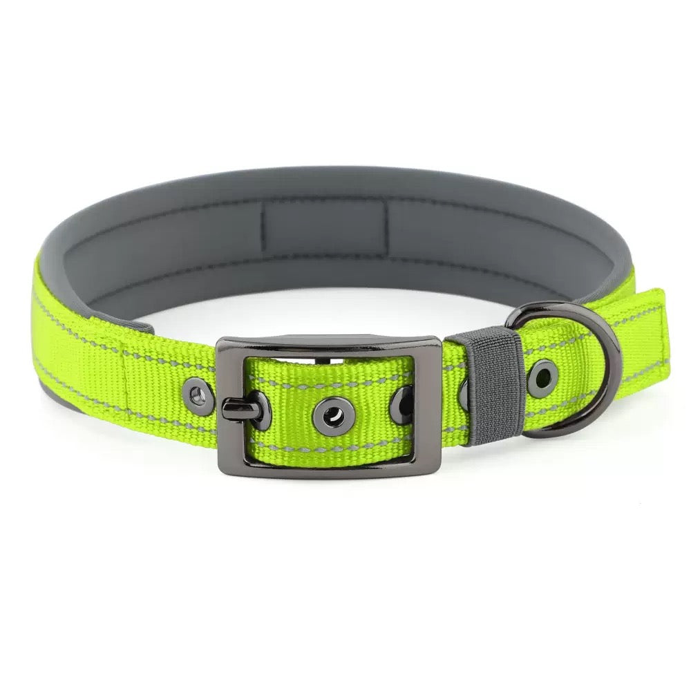 039 neoprene dog collar