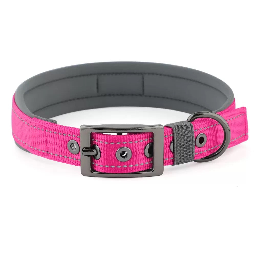039 neoprene dog collar