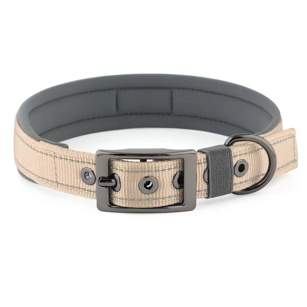 039 neoprene dog collar