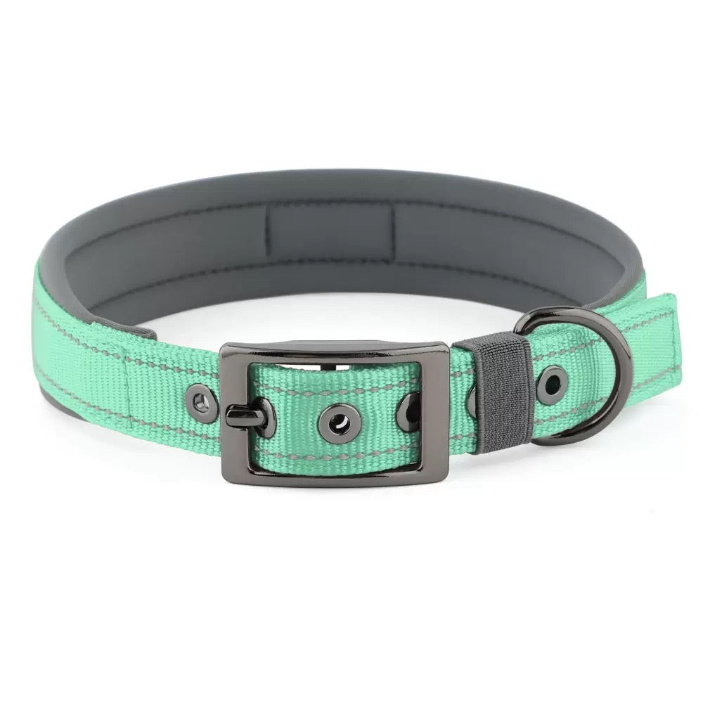 039 neoprene dog collar