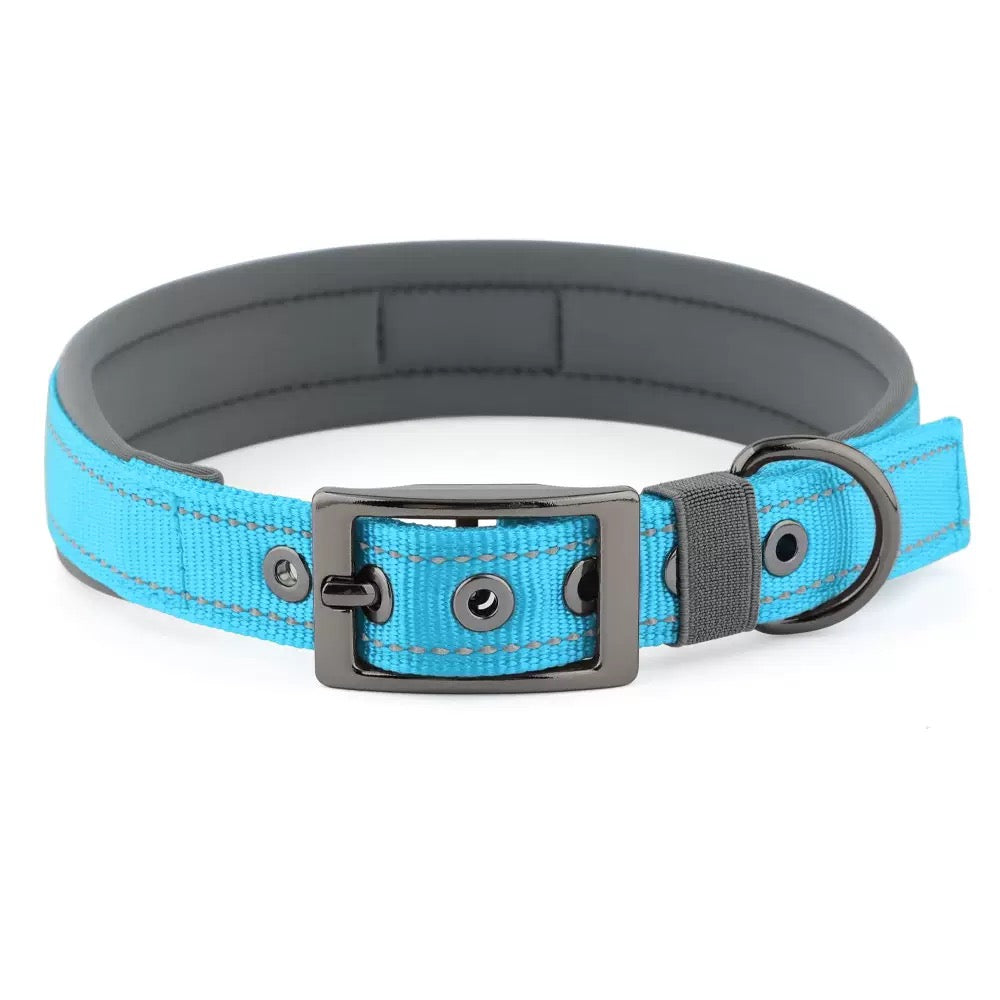 039 neoprene dog collar