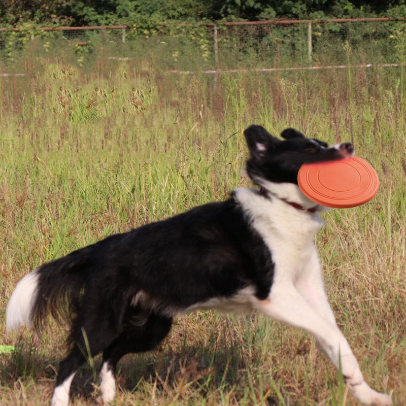 042 Soft Dog Flying Disc