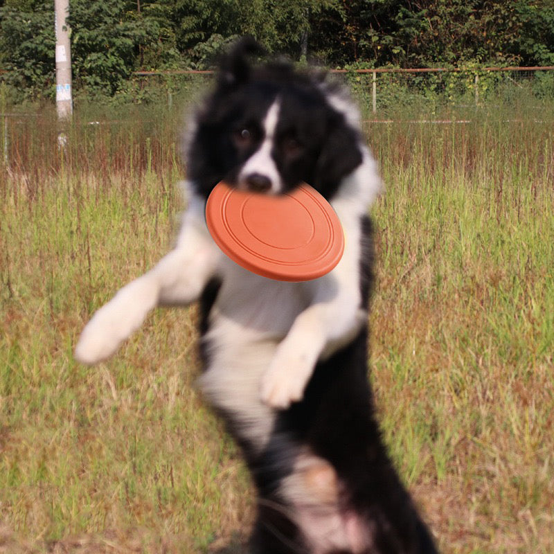 042 Soft Dog Flying Disc
