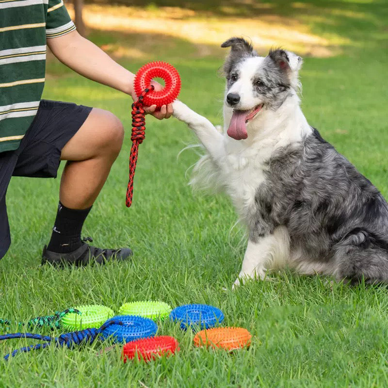 043 TPR Tire Dog Chew Toy