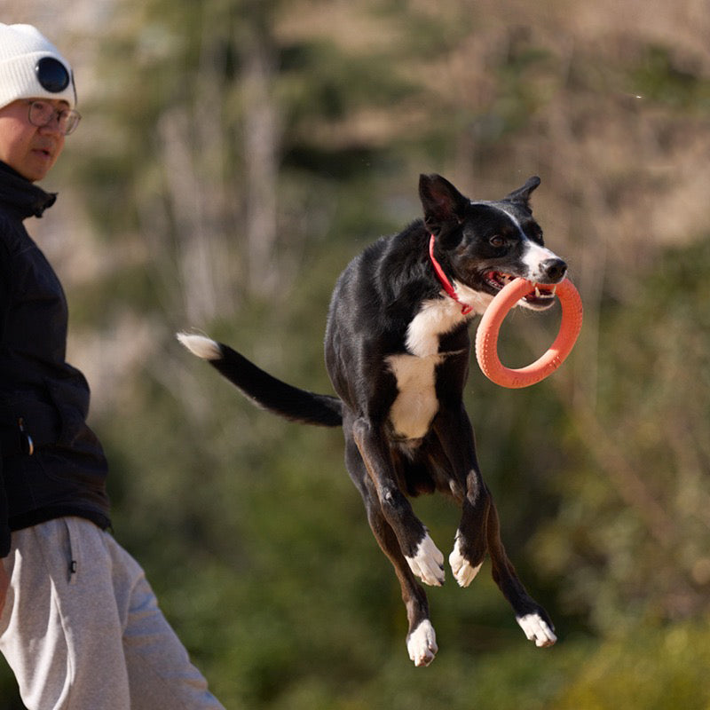 045 Bite-Resistant Soft Pull Ring Dog Training Toy