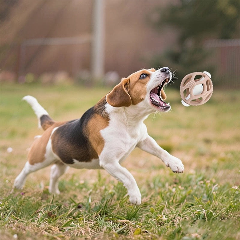 046 Silicone Soccer Bell Pet Ball Toy
