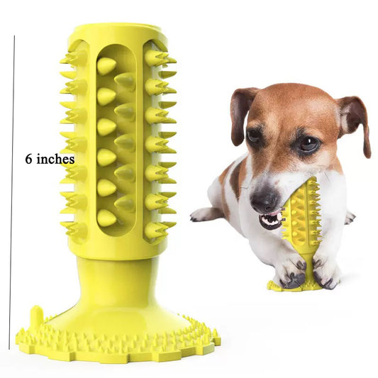 064 Suction Cup Squeaky Dog Molar Stick