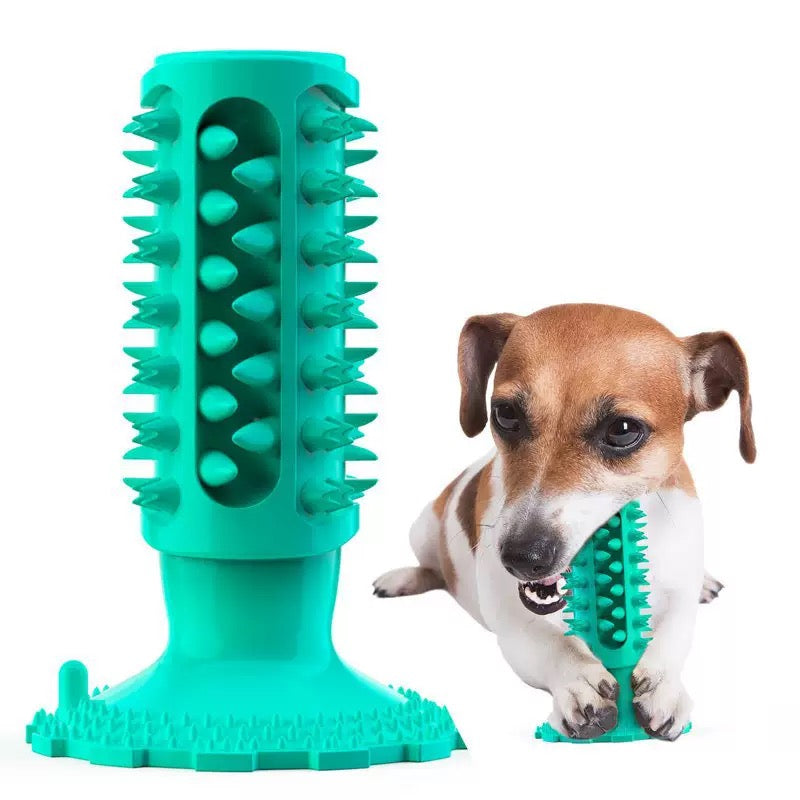 064 Suction Cup Squeaky Dog Molar Stick