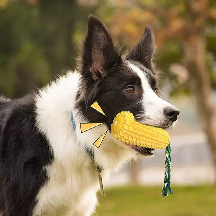 065 Squeaky Corn Dog Toothbrush Chew Stick