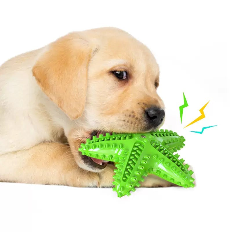 066 Starfish Squeaky Dog Toy