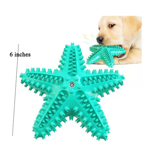 066 Starfish Squeaky Dog Toy