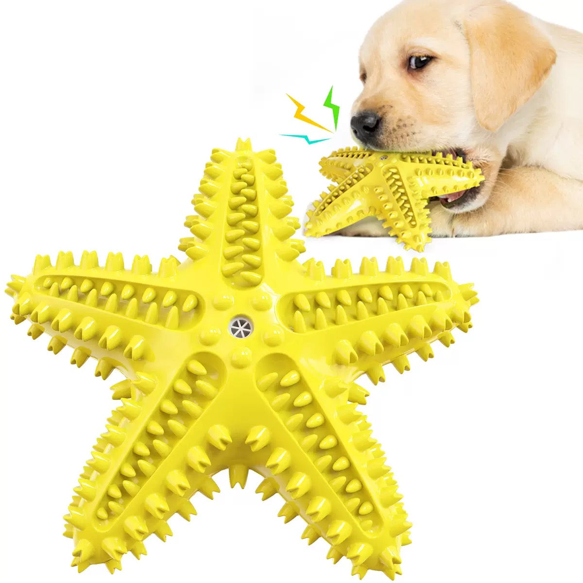 066 Starfish Squeaky Dog Toy