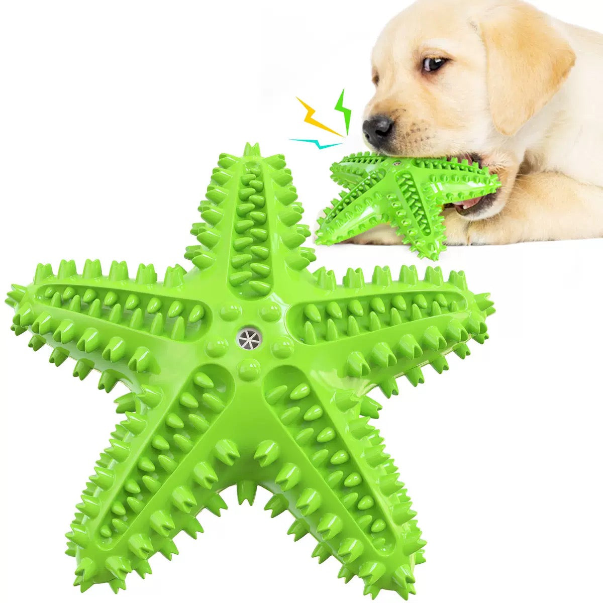 066 Starfish Squeaky Dog Toy