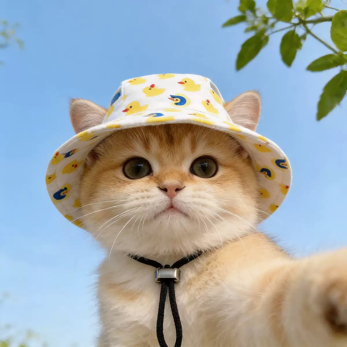 076 Pet Summer Sun Hat for Cats