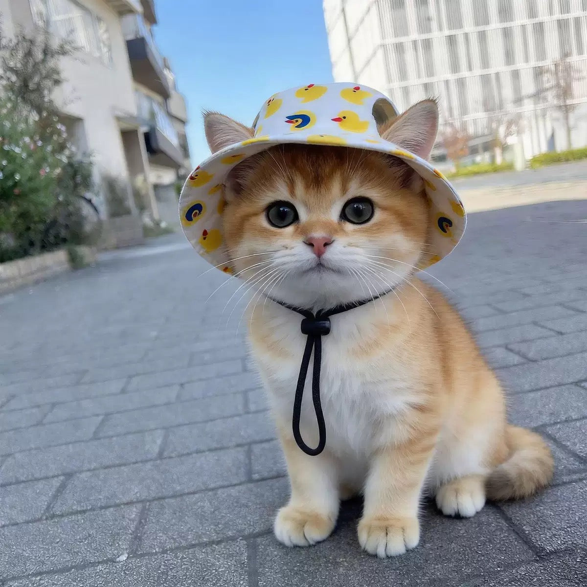 076 Pet Summer Sun Hat for Cats