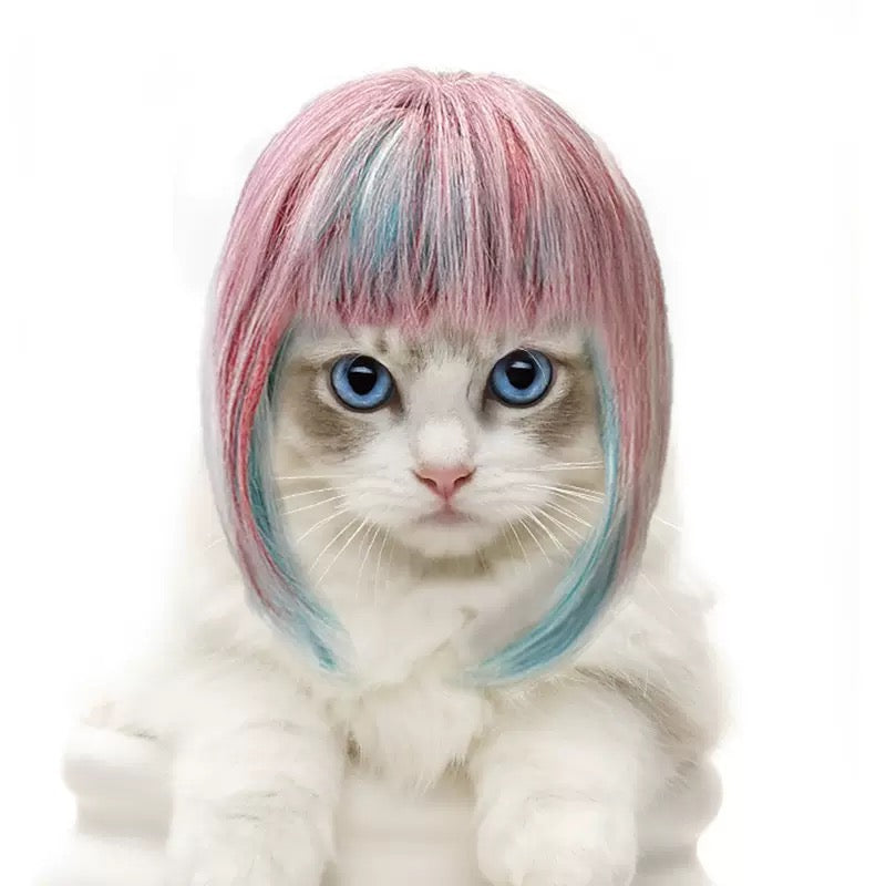 091 New Pet Long Colorful Wig