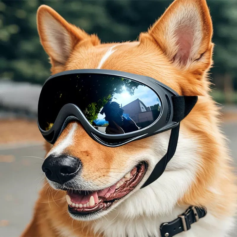 092 Pet Goggles