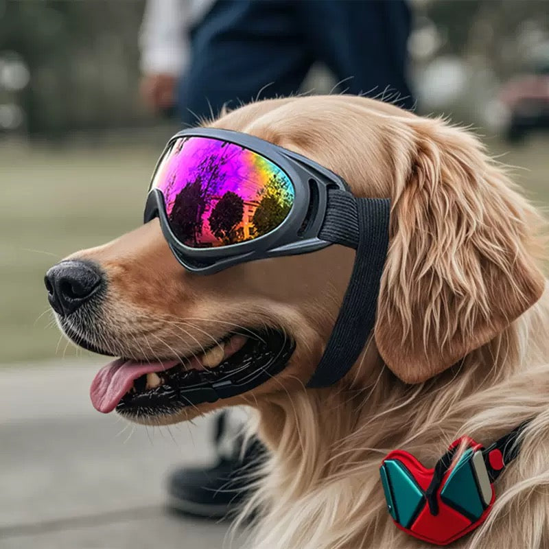 092 Pet Goggles