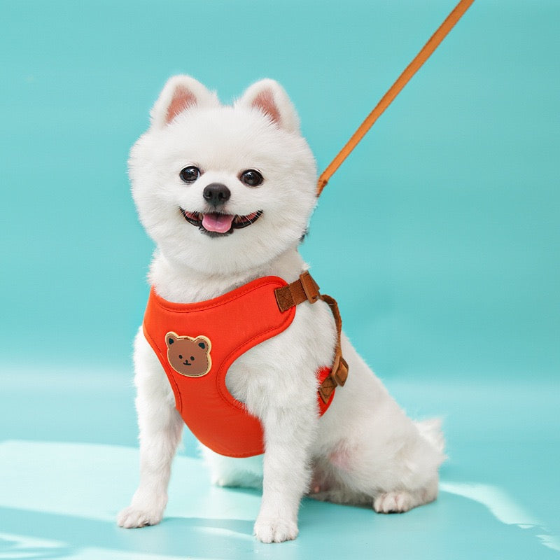 098 Cute Bear Pet Harness & Matching Leash Set
