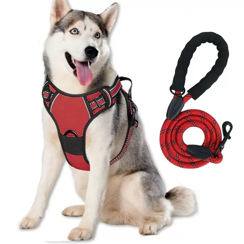 Your Ultimate Outdoor Training Kit: Making Every Walk a Lesson