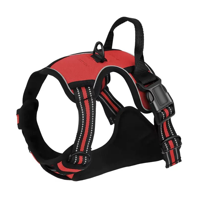 Your Ultimate Outdoor Training Kit: Making Every Walk a Lesson