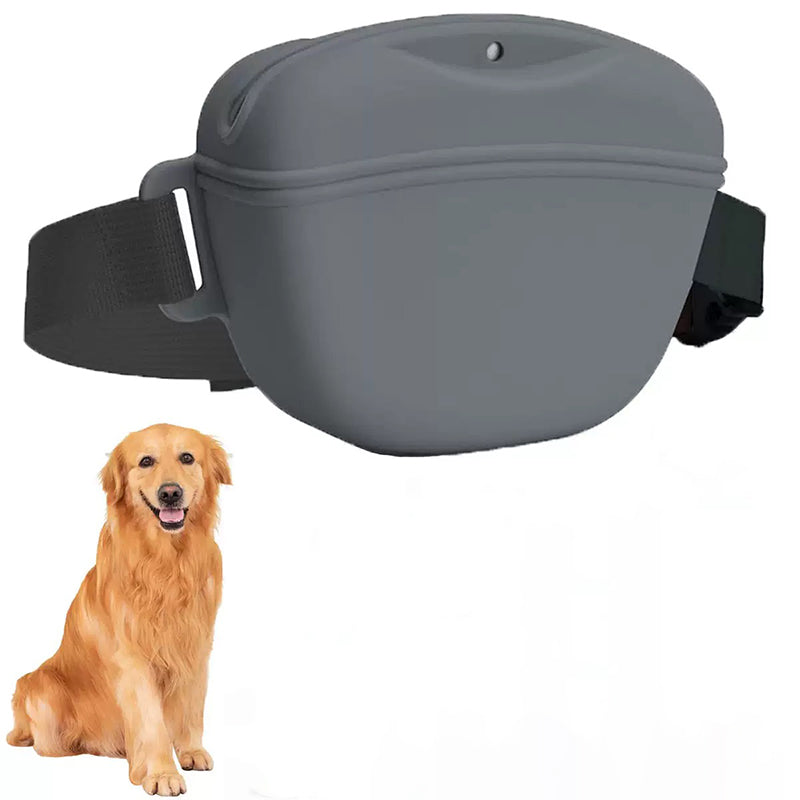 Your Ultimate Outdoor Training Kit: Making Every Walk a Lesson