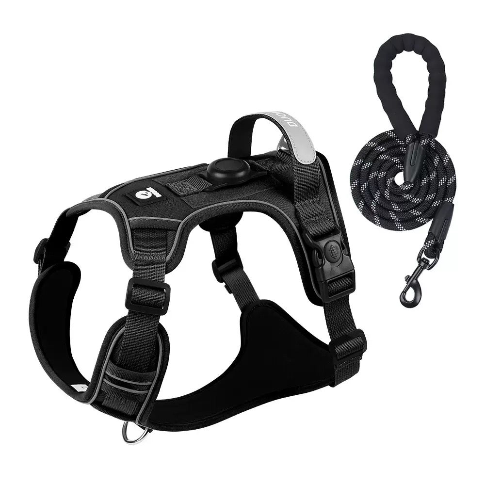 Hit the Trail Together: Your Essential Dog Hiking Kit