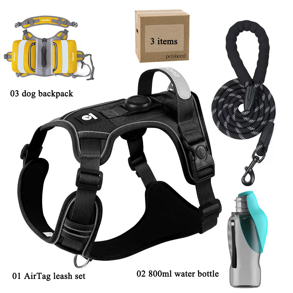 Hit the Trail Together: Your Essential Dog Hiking Kit