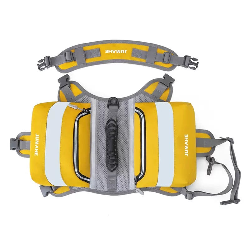 Hit the Trail Together: Your Essential Dog Hiking Kit